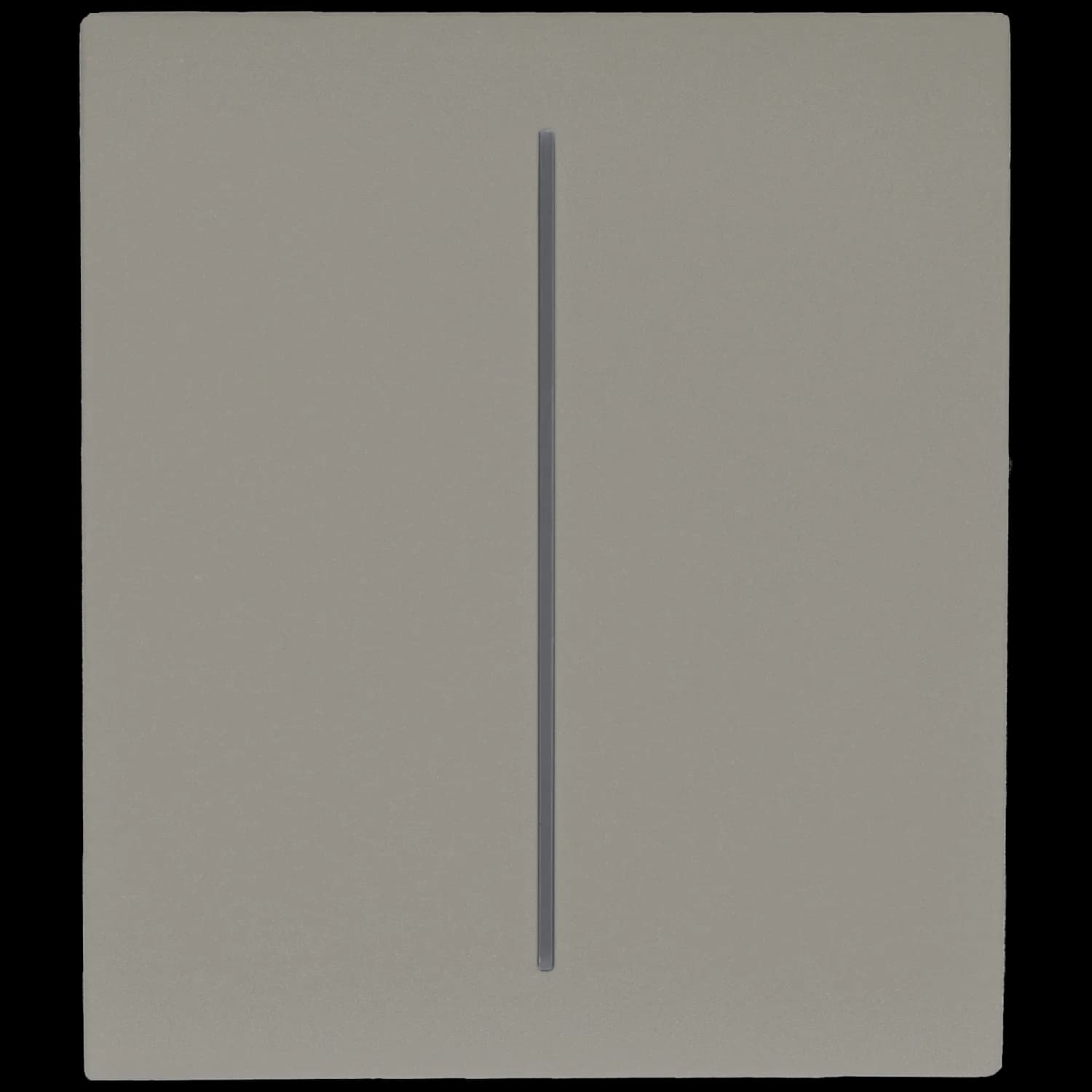 Panel de interruptor central doble