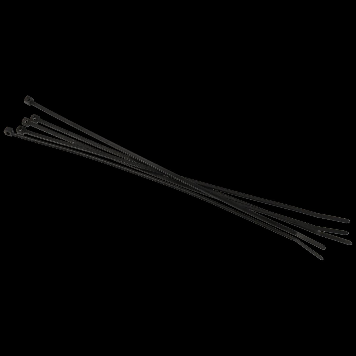 Brida 200 x 2.5 mm 100 ud.
