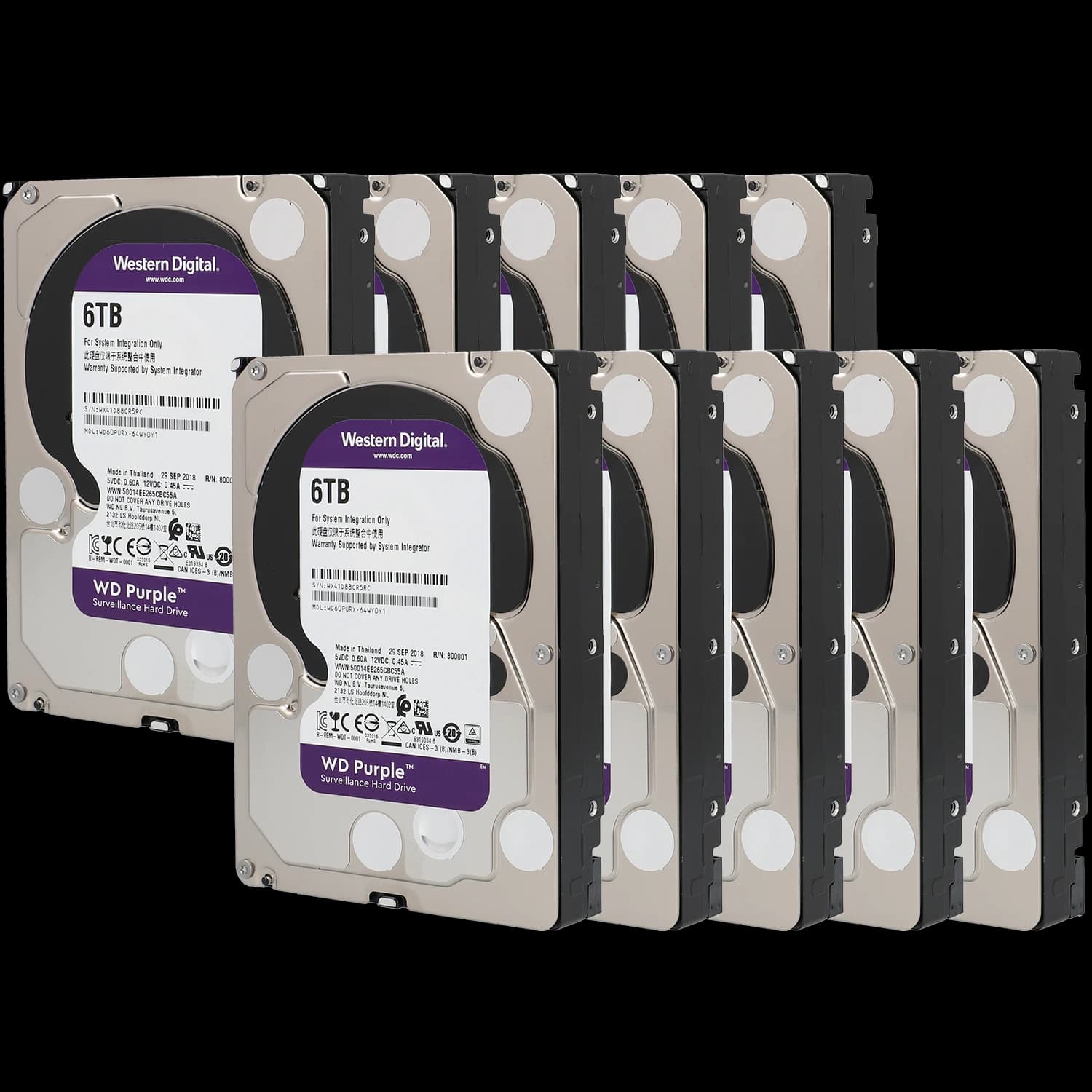 Pack de 10 discos duros purple 6TB